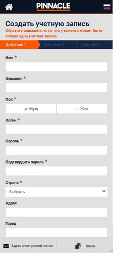 Регистрационная анкета в Пиннакл