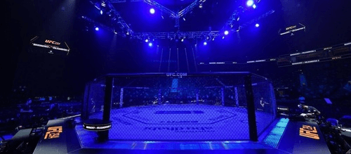 Октагон для проведения боев